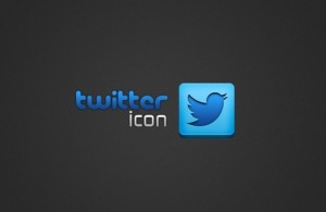 Minimal Blue Twitter Icon PSD