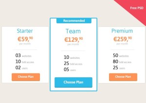 Clean and Neat Pricing Table Template PSD