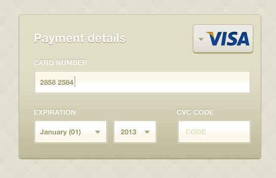 Credit Card Payment Details Interface PSD