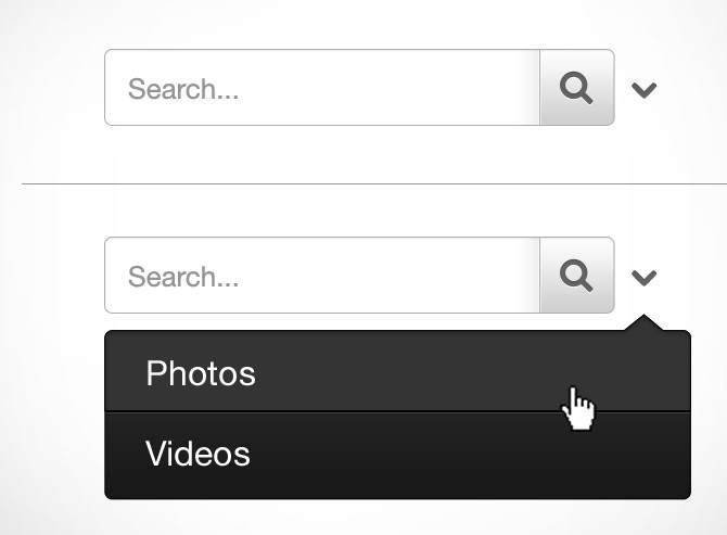 Search Form with Drop Down Selection PSD