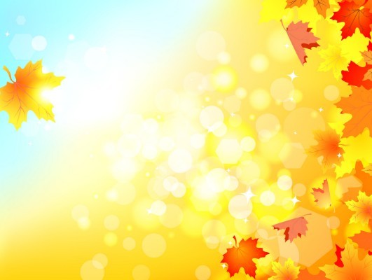 Shiny Autumn Maple Leaf Background Vector 01