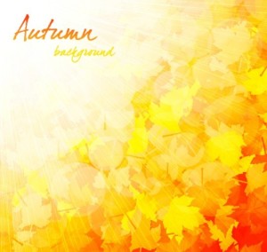 Shiny Autumn Maple Leaf Background Vector 03