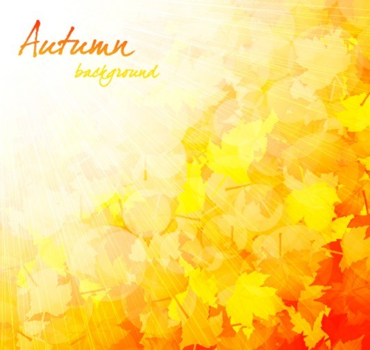 Shiny Autumn Maple Leaf Background Vector 03