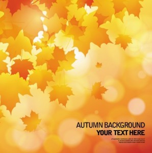 Shiny Autumn Maple Leaf Background Vector 04