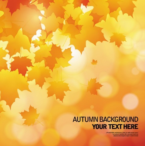 Shiny Autumn Maple Leaf Background Vector 04