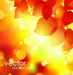 Shiny Autumn Maple Leaf Background Vector 05