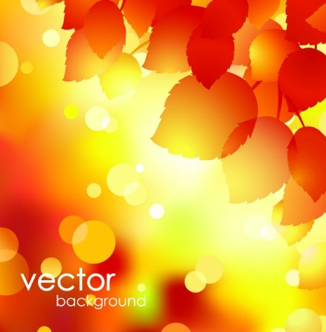 Shiny Autumn Maple Leaf Background Vector 05