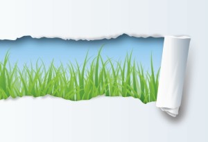 Paper Tear Green Grass Vector
