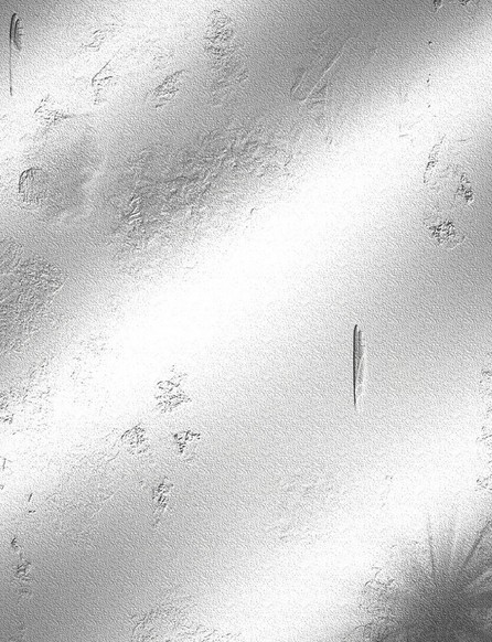 Beaten Metal Texture