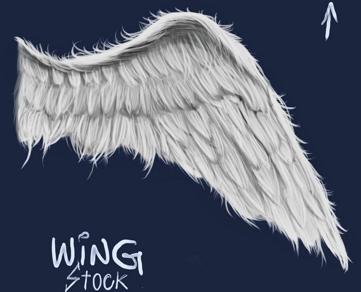 White Angle Wing PSD