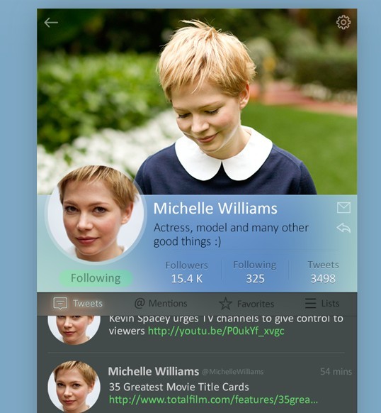 Twitter Profile Widget PSD