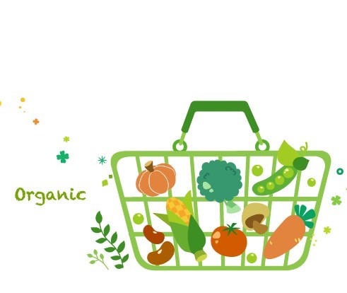Vector Green Illustration Of Organic Foods 03