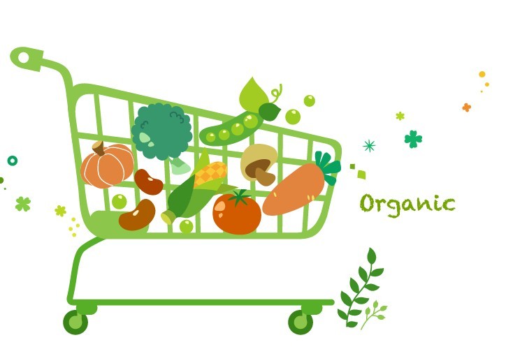 Vector Green Illustration Of Organic Foods 04