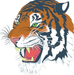 Roaring Tiger Head Illustration Vector