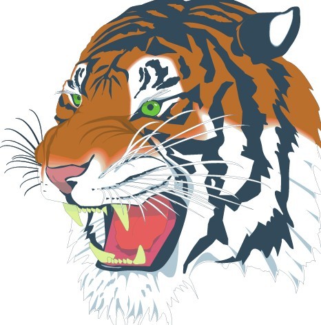 Roaring Tiger Head Illustration Vector