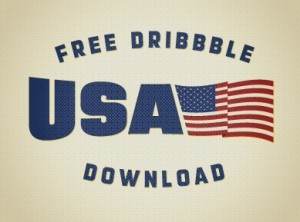 USA American Pride Flag Vector