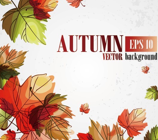 Hand Painted Autumn Maple Leaves Background Vector 01