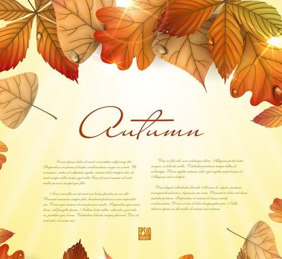 Hand Painted Autumn Maple Leaves Background Vector 03
