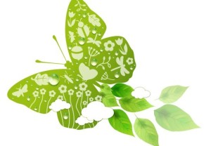 ECO Concept Green Butterfly Vector