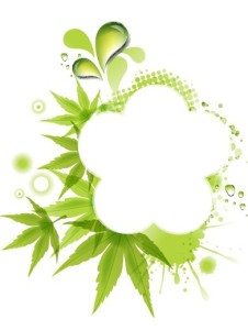Fresh Green Leaf Frame Vector