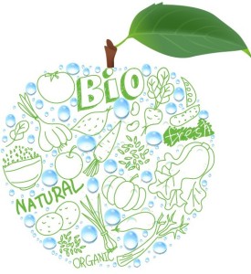 Natural BIO Concept Fresh Apple Vector