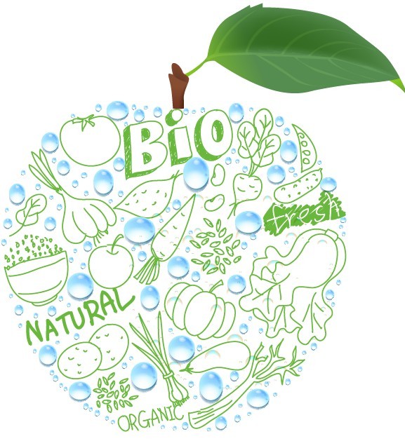 Natural BIO Concept Fresh Apple Vector