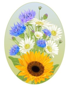 Oval Wild Chrysanthemum Flower Frame Vector