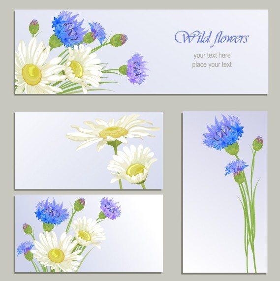 Set Of Vector Wild Chrysanthemum Flower Banners