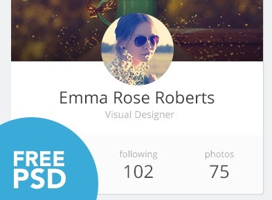 Clean Light User Profile Widget PSD