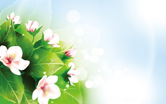 Pink Flowers Under The Sunlight Vector Background