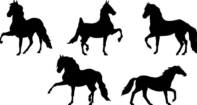 Set Of American Saddlebred Silhouettes Vector