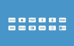 Minimal White and Blue Credit Card Icons PSD