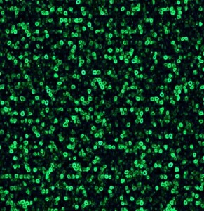 Green Alien Rough Texture