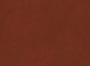 Brown Leather Texture