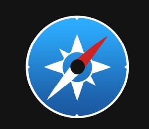 Round Safari & Compass Icon