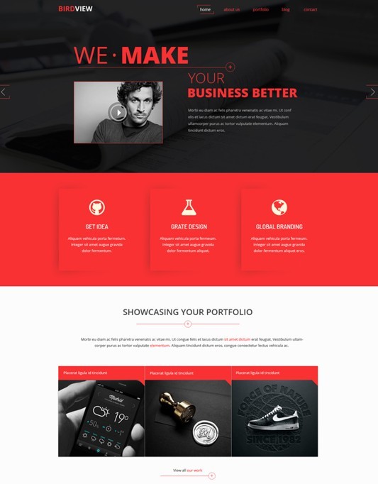 Bird View Business Website PSD Template