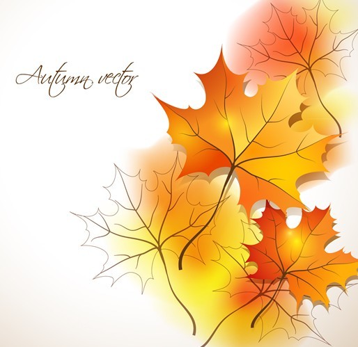 Autumn Yellow Maple Leaf Design Vector 01