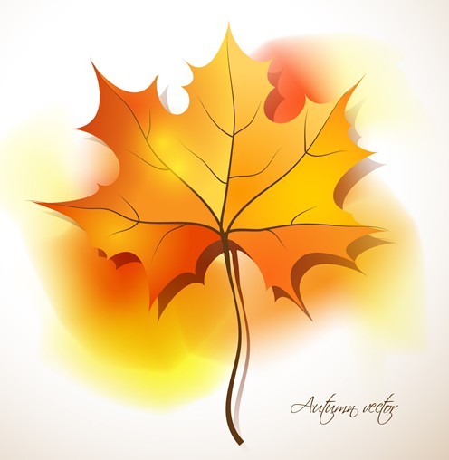Autumn Yellow Maple Leaf Design Vector 02