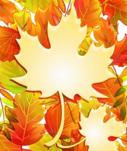 Autumn Yellow Maple Leaf Design Vector 06
