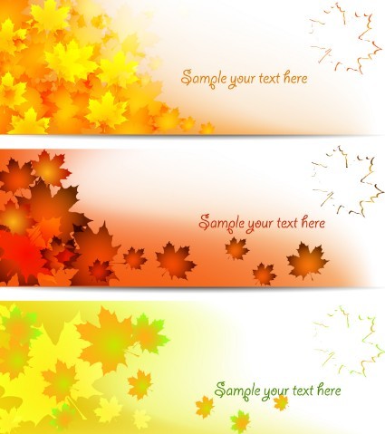 Set Of Fall Yellow Maple Leaf Banners Vector