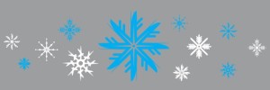 Set Of Various Snowflakes Vector