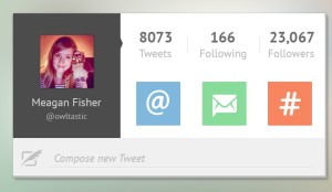 Flat Twitter User Profile Widget PSD