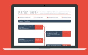 Career Timeline Web Template PSD