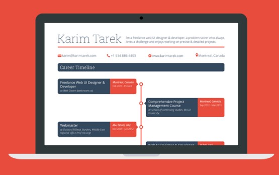 Career Timeline Web Template PSD