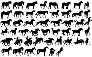 Set Of Vector Horse Silhouettes