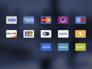 13 Payment Credit Card Icons PSD
