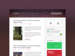 Linia Magazine Blog Theme PSD