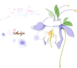 Hand Drawn Aquilegia Vector Illustration