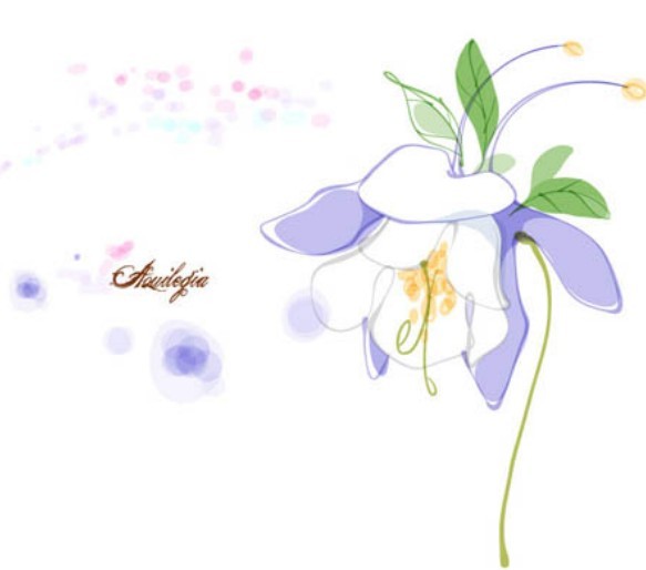 Hand Drawn Aquilegia Vector Illustration