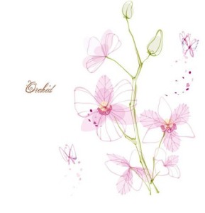 Hand Drawn Pink Orchid Vector Illustration